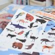 Sticker Poster Discovery - Animals Of The World