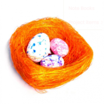 Nest With Eggs - Art Craft