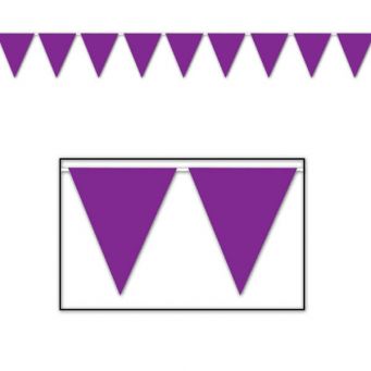 Triangle Pennant Party Banner 