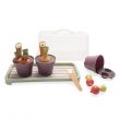 Green Garden Mini-Greenhouse Set