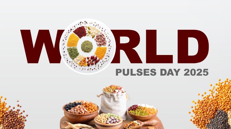 Nourish Your Body with the Power of Pulses from Sandhai