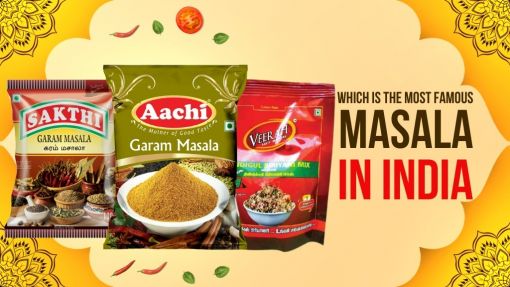 Most Famous Masala in India