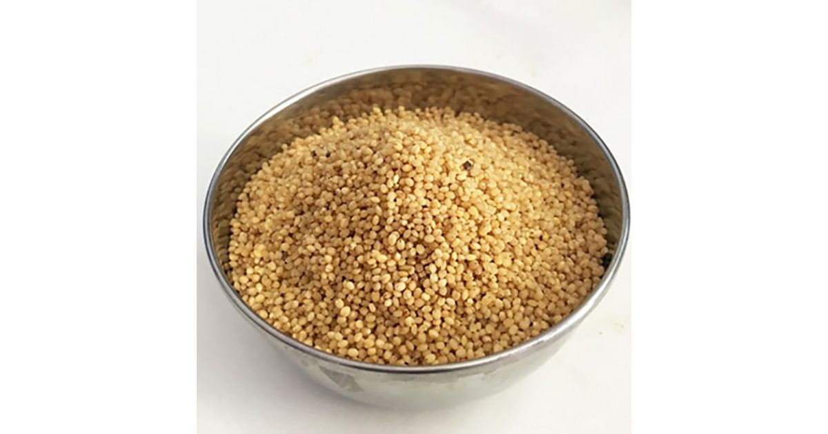 Foxtail Millet (Thinai) | sandhai.ae