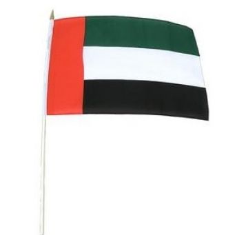 UAE National Hand Flag A4 Set Of 12
