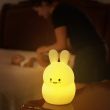 Lumipets - Bunny+Remote