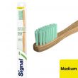 Signal - Natural Bamboo - Medium