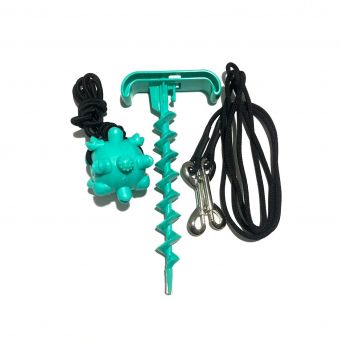 Pet Toy With Dog Leash