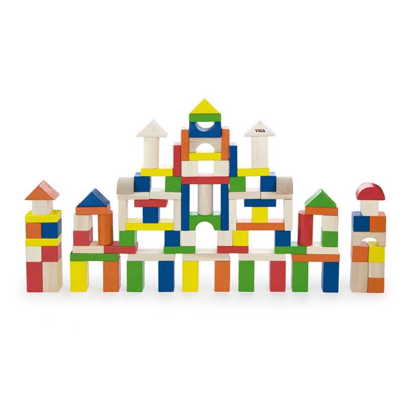 Colorful Block Set (100pcs)
