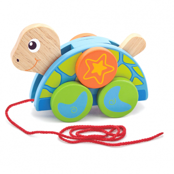 Pull Along Turtle