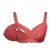 Okus - Seamless Nursing Bra Orange 36