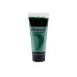 Fevicryl Acrylic Colour Hookers Green 200ml AC04