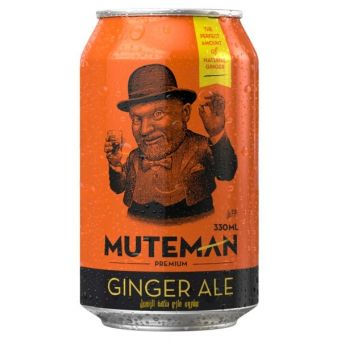 330 Ml Premium Ginger Ale Pack Of 6