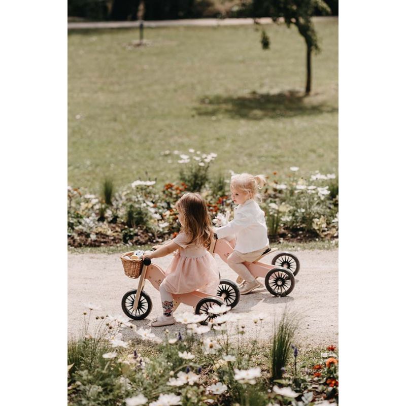 2-In-1 Tiny Tot PLUS Tricycle & Balance Bike - Rose