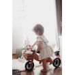 2-In-1 Tiny Tot Tricycle & Balance Bike - Bamboo