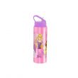 Princess Aluminum Premium Water Bottle