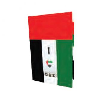 UAE Flag Paper Bag 29X37 cm - 12 pcs