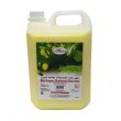 Bliss Multi purpose Disinfectant Citrus pine 5Litres