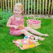 Picnic Basket Set - 27 pieces