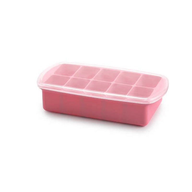 Large Baby Food Freezer Tray With Lid