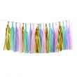 Pack Of 4 DIY Tissue Paper Tassel Garland 35x12cm