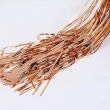 Piece Tinsel Foil Fringe Curtains