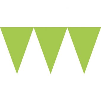 Triangle Pennant Party Banner