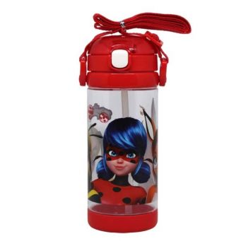 Tales of Ladybug & Cat Noir Premium Sequare Bottle