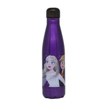 Frozen Stainless Water Bottle 600ML Double Wall