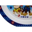 Paw Patrol Divided Mico Plate