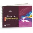 Arto Spiral Acrylic Pad 360G 12Sht