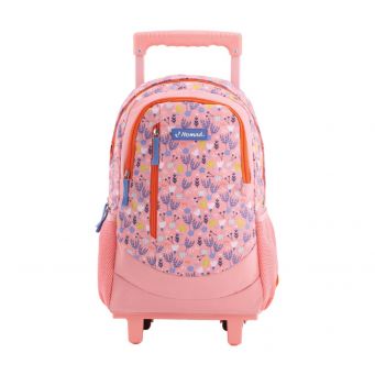 Trolley Bags