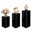 Black Acrylic plinth Display
