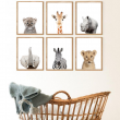 Set Of 6 - Animal Safari Wall Art Prints